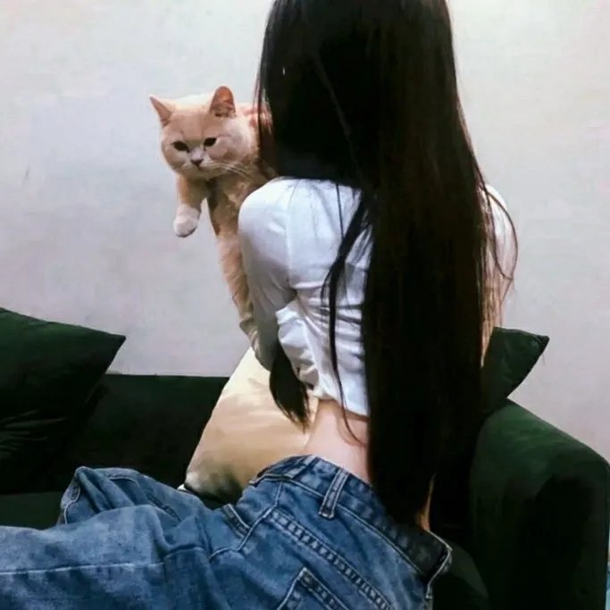 爱的猎犬